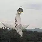 モノクローム縞子