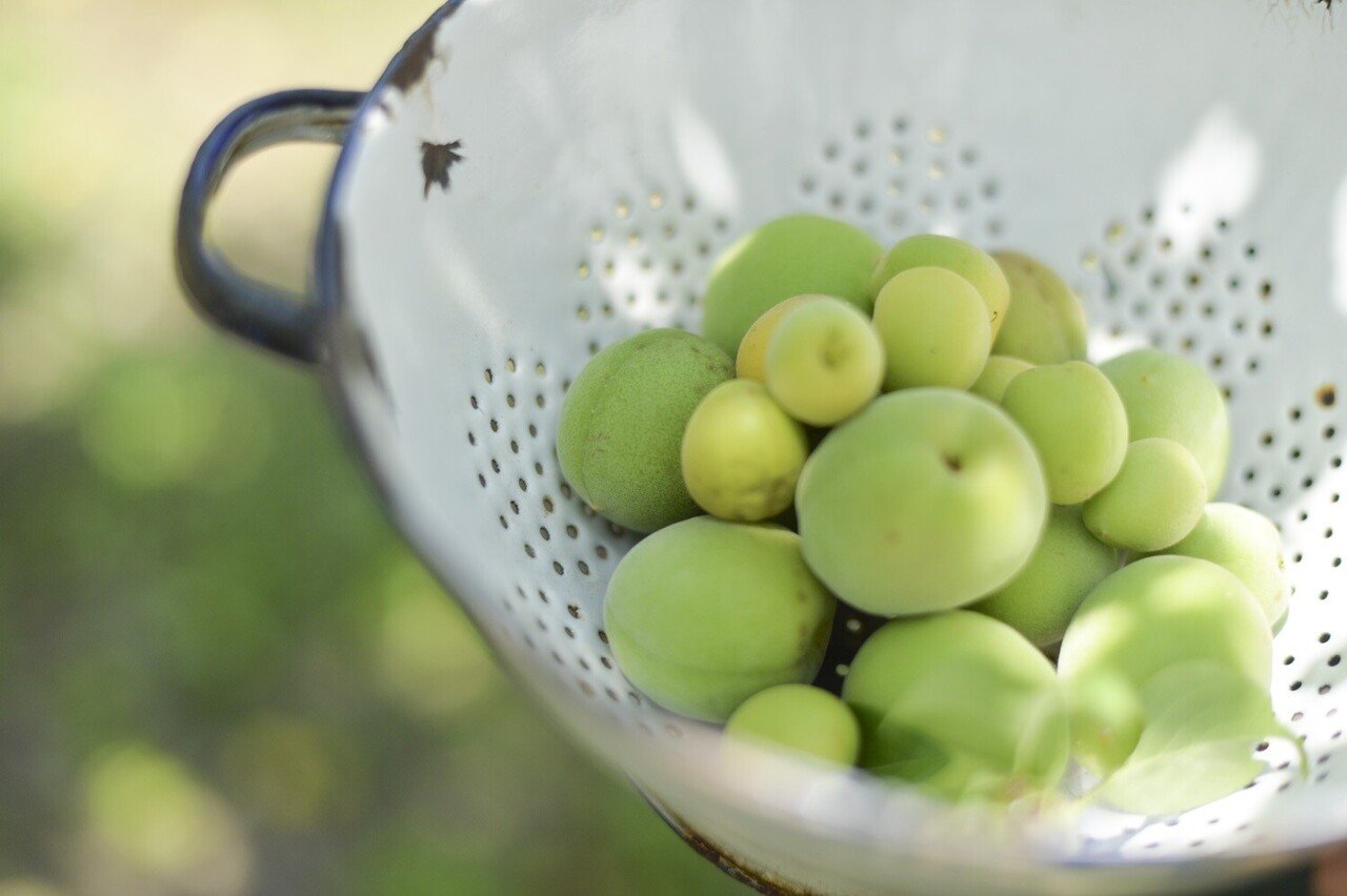 梅しごと 季節の食材で保存食づくり という行為は 気持ちを豊かにしてくれる くらしアトリエ 地域と暮らしの発信 Note 梅しごと 季節の食材で保存食づくり という行為は 気持ちを豊かにしてくれる くらしアトリエ 地域と暮らしの発信 Note