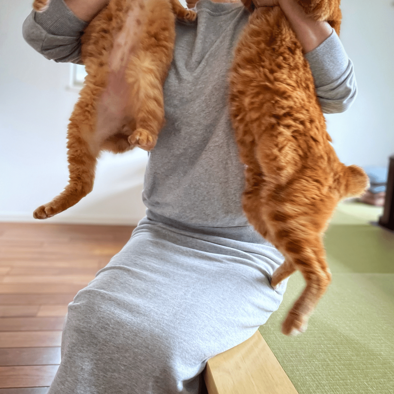 どうしてそんなにかわいいの Mizunote Note