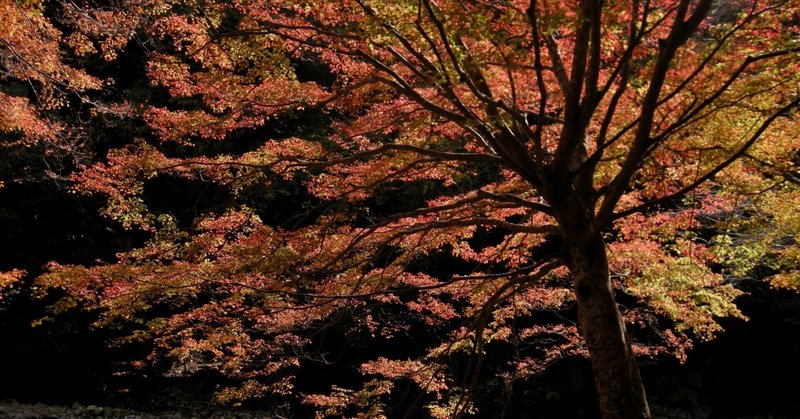 父はシベリアに4年間抑留された