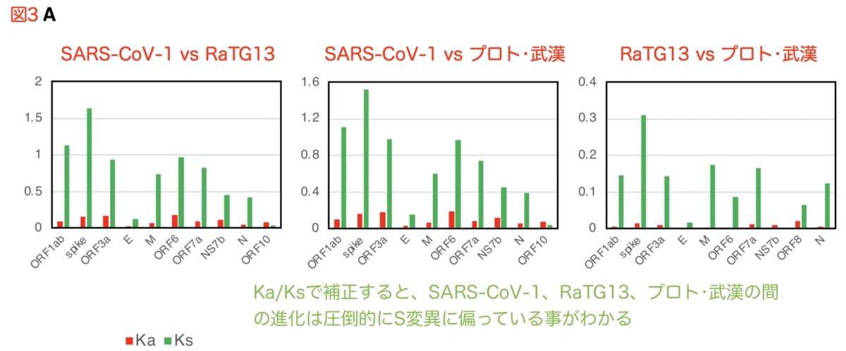 人工ウイルス論文 Figure 3A