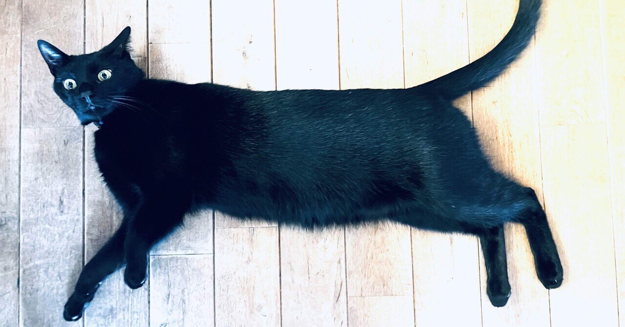 猫が伸びる そんな朝に 徒然 浮世雲 Ukiyogumo 詩仙人 Note