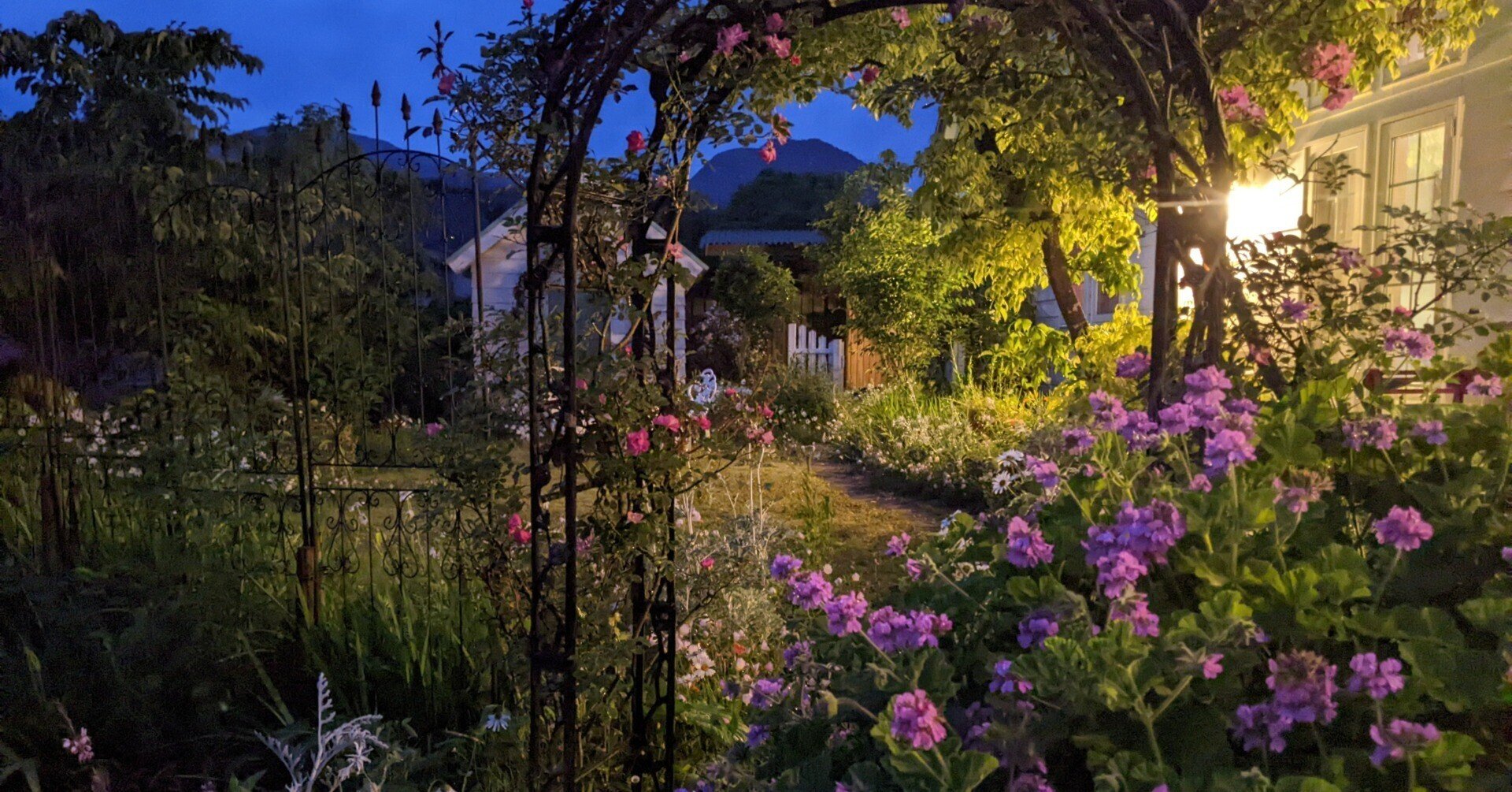 素敵なガーデンデザイン 3赤毛のアンの世界 野原のように花々が咲きほこるアンの花園 アヴォンリー In伊豆高原 大谷八千代 Note 素敵なガーデンデザイン 3赤毛のアンの世界 野原のように花々が咲きほこるアンの花園 アヴォンリー In伊豆高原 大谷八千代 Note