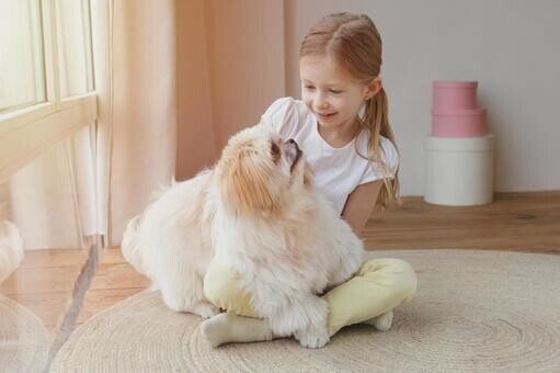 赤ちゃんとペットの動画を見て癒される人が羨ましい 愛玩感覚の欠落 Note Com Yomogida4 N Ncfe5fad5555e Youtubeにはそんな動画 が溢れ返っていて Yomogida4 Note