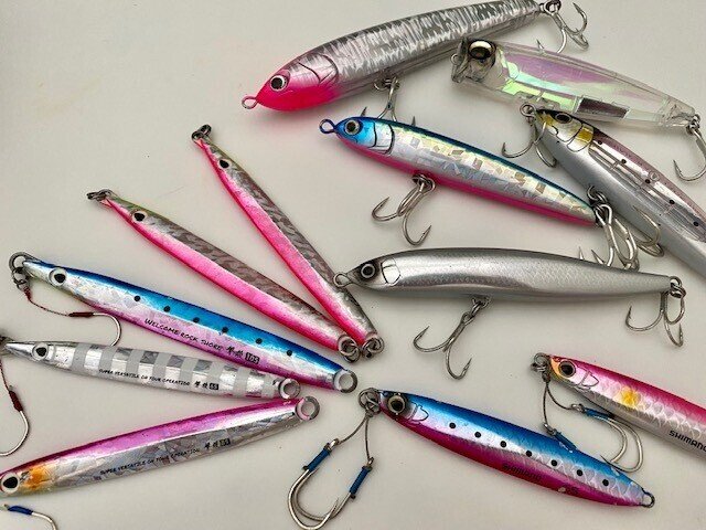 皆さん最近ロックショアからの青物がたくさん釣れています。皆さんも