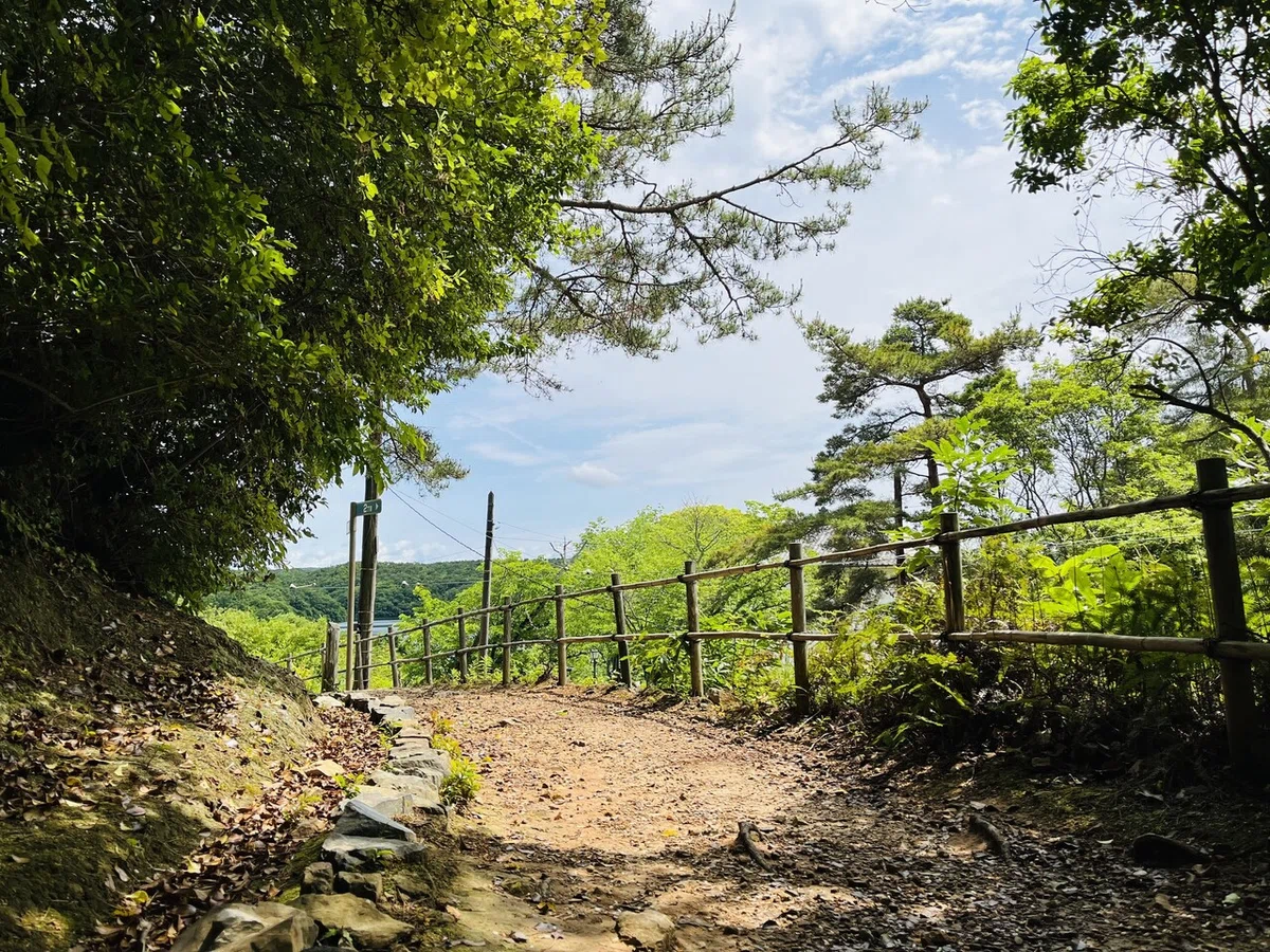 画像24