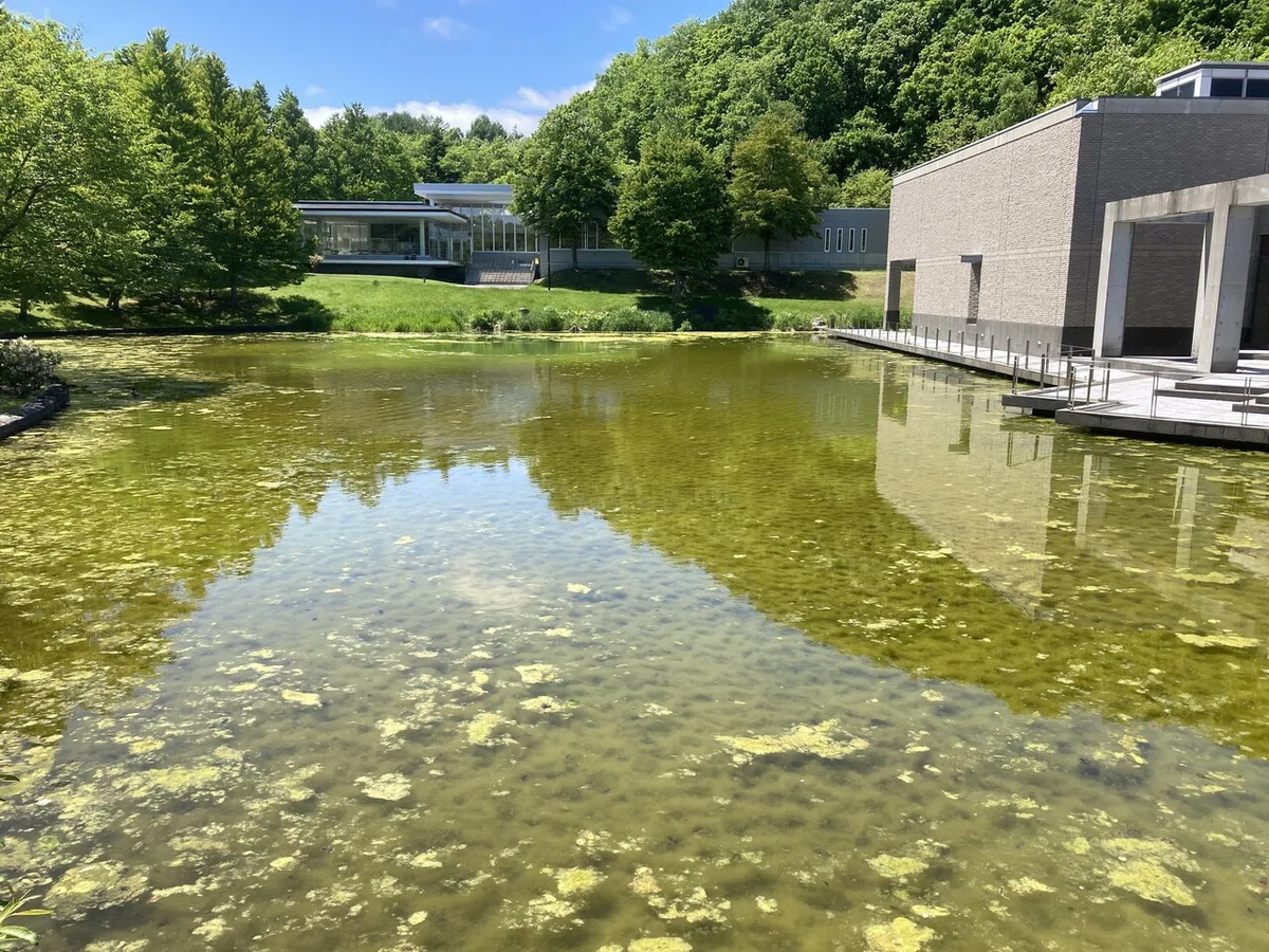 画像8