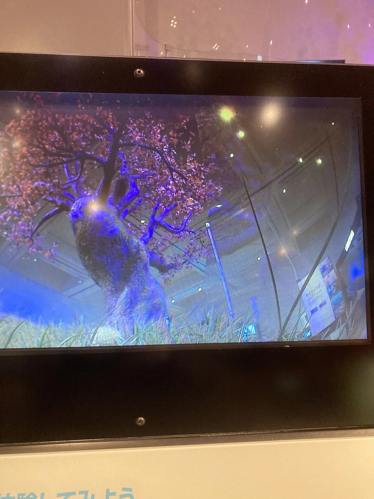 画像30