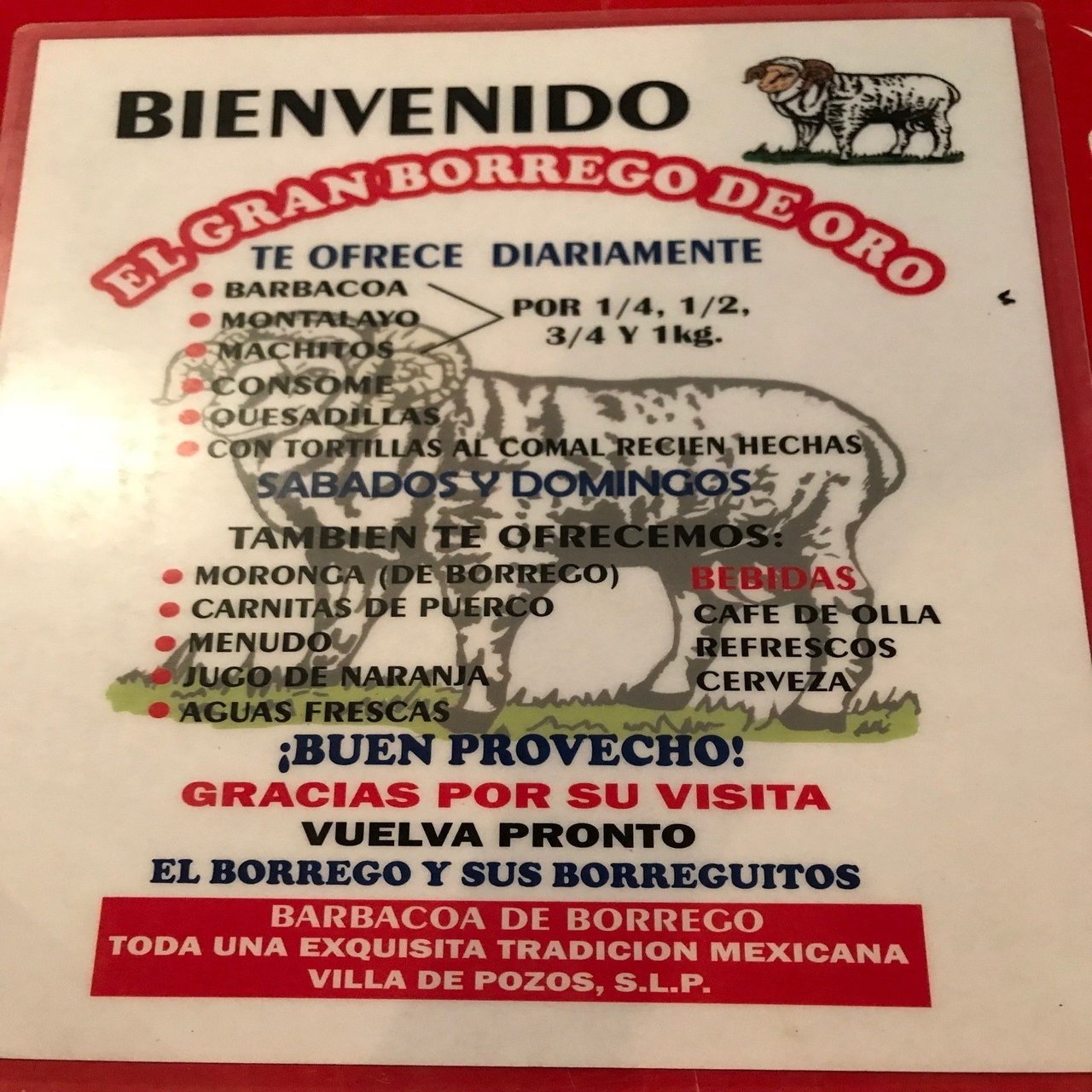 メキシコ駐在中にサンルイスポトシで得た情報など。｜ＷＩＬＤＲＯＡＤＲＵＮＮＥＲ