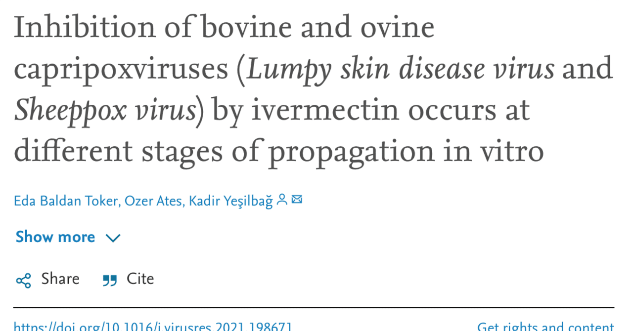 【和訳】イベルメクチンは、ランピースキン病ウイルス(99.82%阻害)および羊痘ウイルス(99.87%阻害)のin vitro(試験管内)複製段階を強力に阻害します