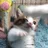 いつもありがとう