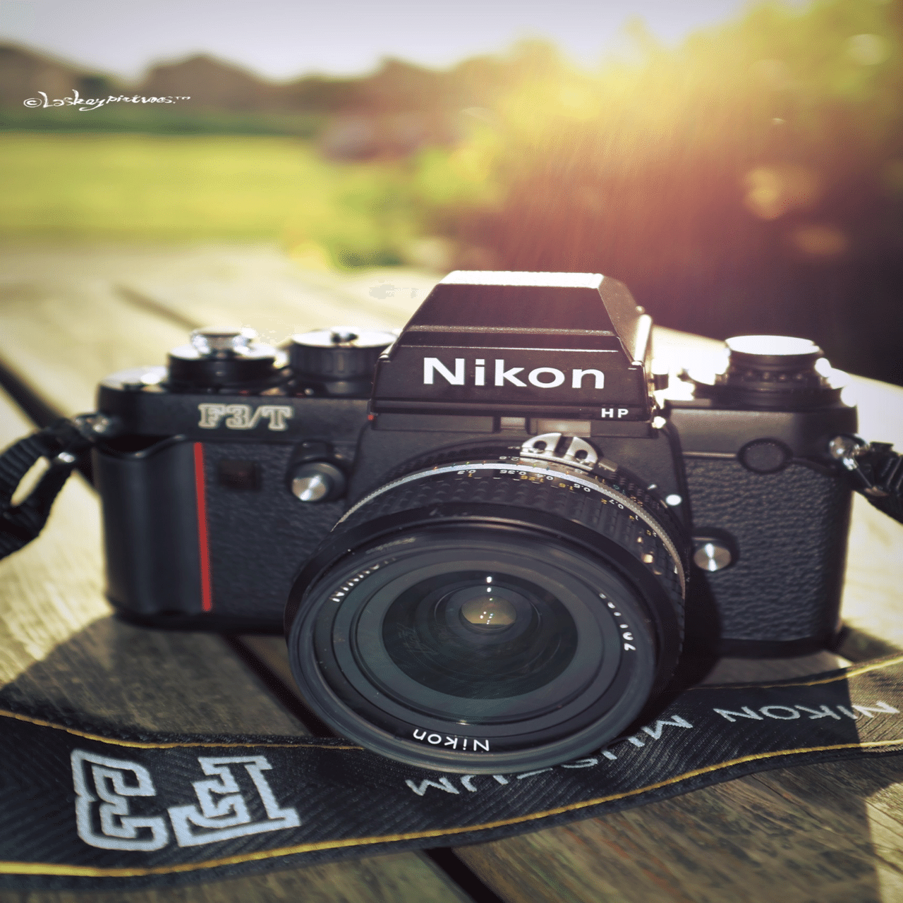 クラシックカメラファン〜Nikon F3T〜｜Laskeypictures