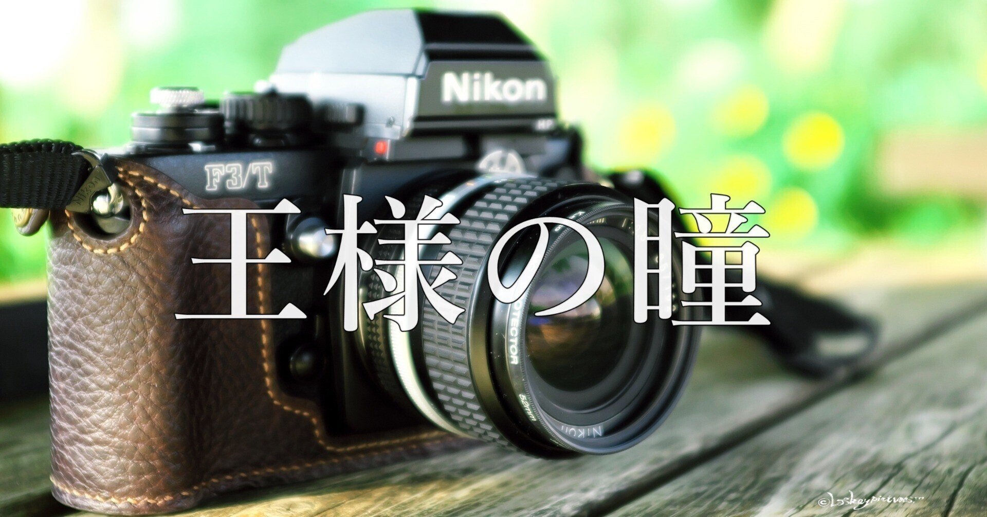 クラシックカメラファン〜Nikon F3T〜｜Laskeypictures