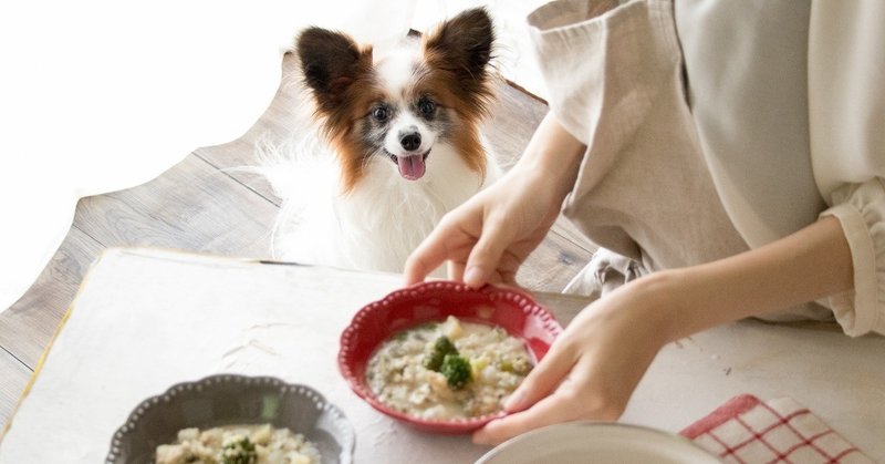 冷凍作り置き お鍋ひとつで煮込み犬ごはん 月額限定 手作り犬ごはんレシピ いちかわあやこ 犬ごはん先生 Note