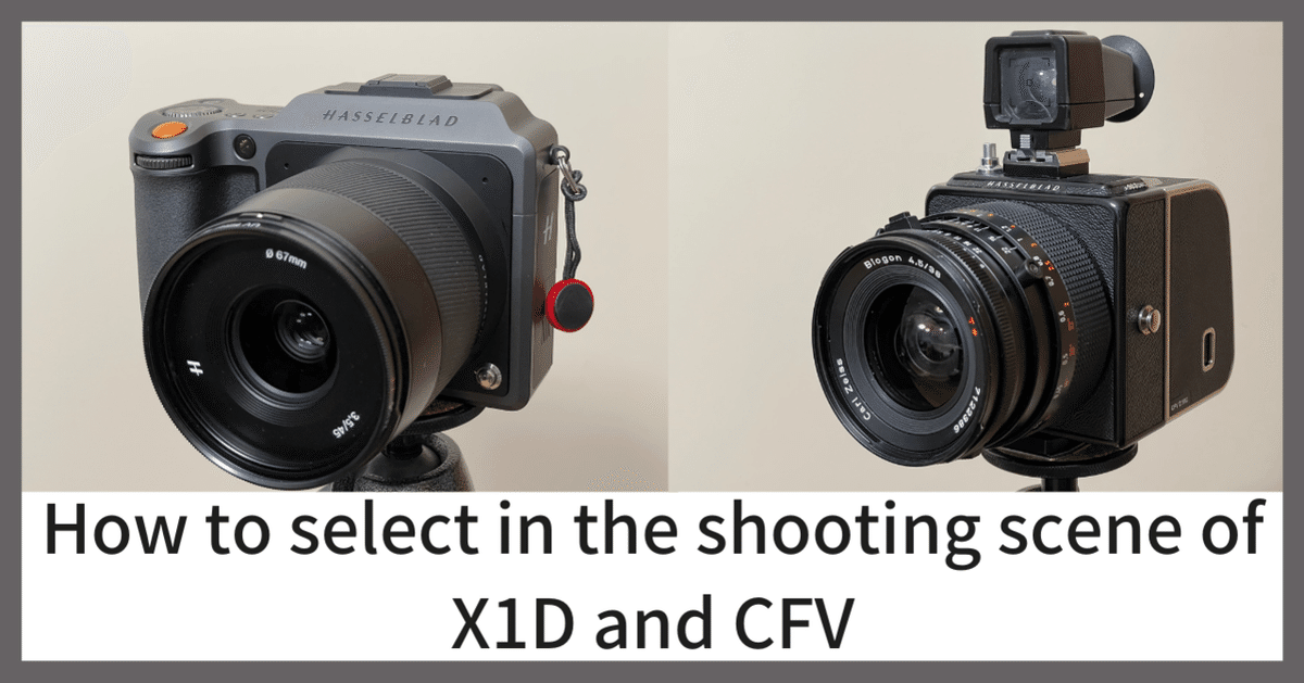 Hasselblad X1DとCFVの違いについて｜Naoto Takazawa