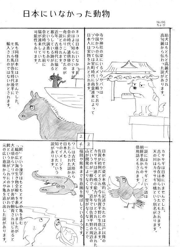 66 日本にいなかった動物 ちょび Note 66 日本にいなかった動物 ちょび Note
