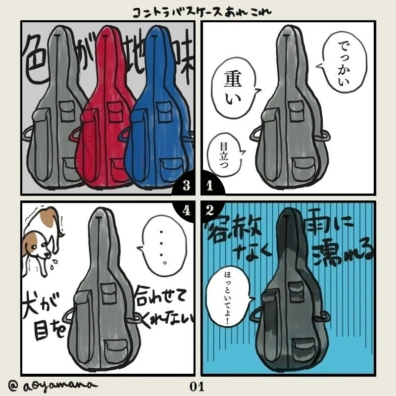 コントラバスケースあれこれ｜aoyamana