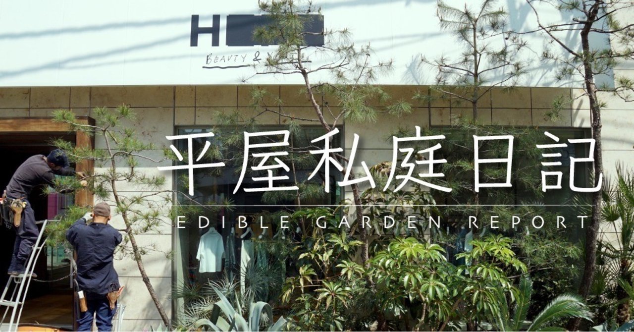 今日は縁側を作ります 平屋私庭日記 2 ライツ社 今日は縁側を作ります 平屋私庭日記 2 ライツ社