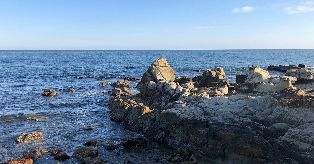 白亜紀の地層を求めて銚子ジオパークへ！｜化石ショップ◎エルフード