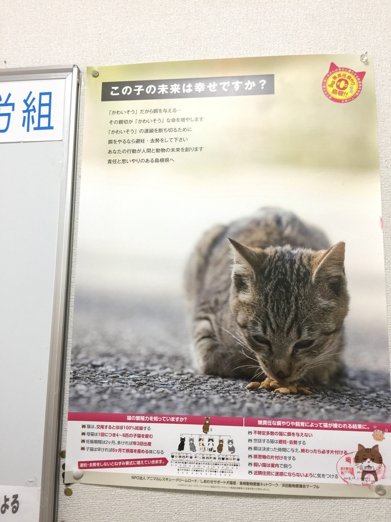 TNR地域猫活動、知ってますか？｜けん坊753｜note