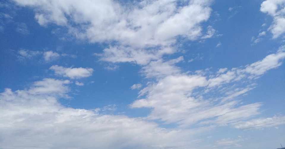 半分 青い という半分adhdな朝ドラ 大里 宰久 Note
