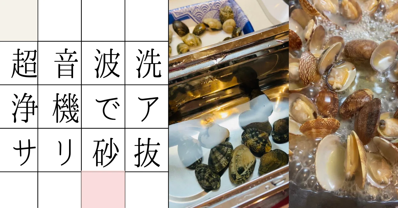 超音波洗浄機で本当にあさりの瞬間砂抜きができるのか？｜noda