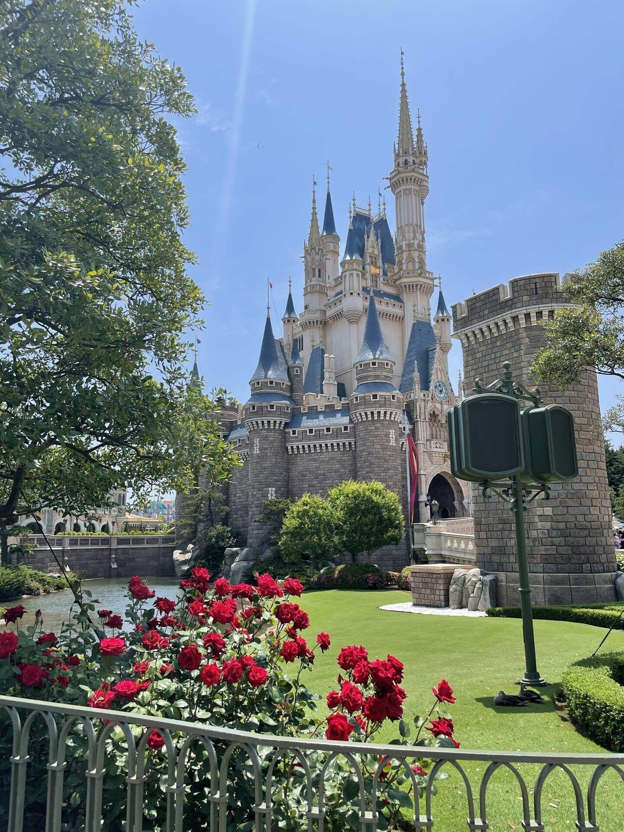 東京の休日 #129 〜【ディズニーランド】大人のための優雅なプランをご