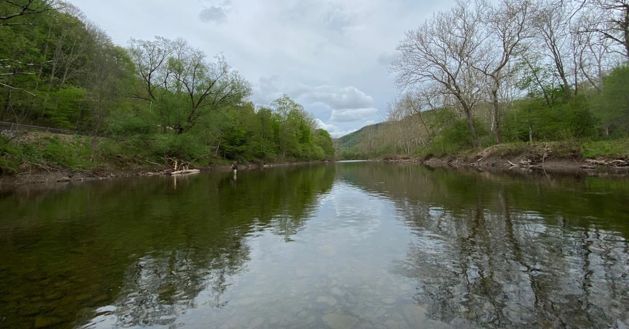 The Beaverkill River|Fly Fishing倶楽部 of New York City