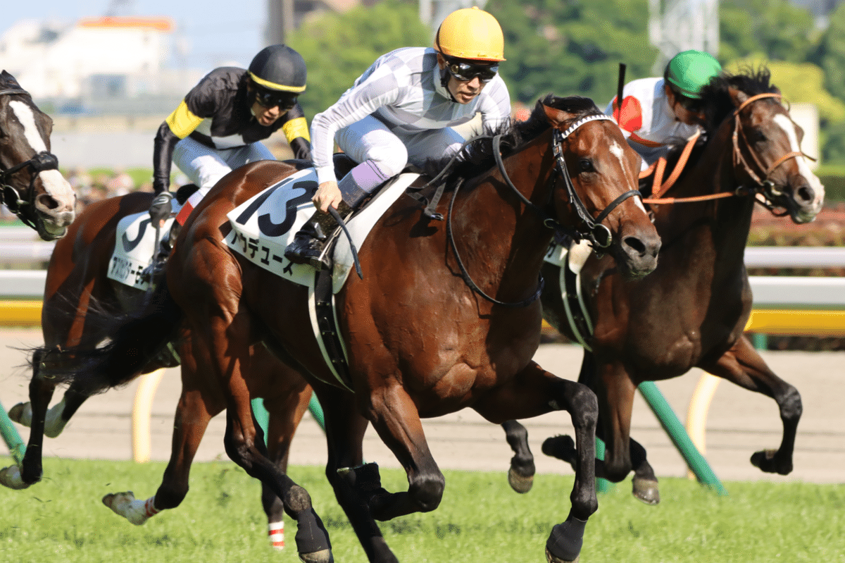 さねちかの『競馬場レポート』vol.3 日本ダービー|ひでまさねちか さねちかの『競馬場レポート』vol.3 日本ダービー|ひでまさねちか