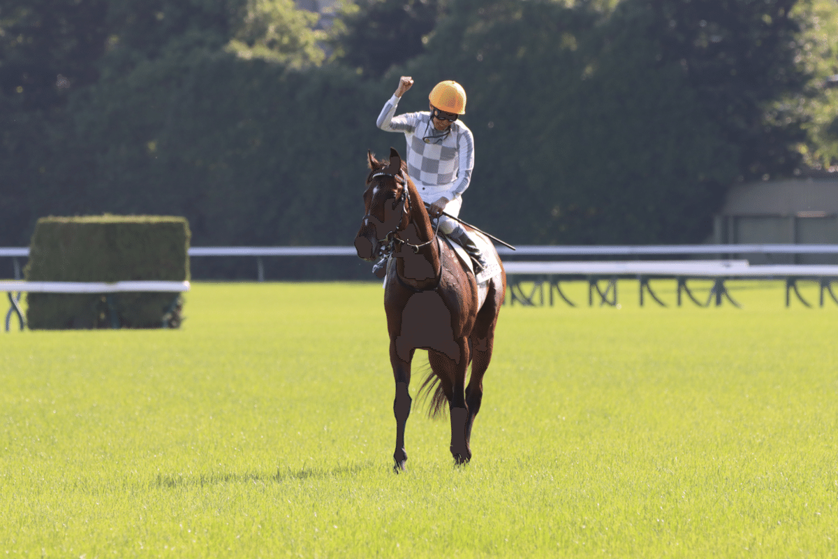 さねちかの『競馬場レポート』vol.3 日本ダービー|ひでまさねちか さねちかの『競馬場レポート』vol.3 日本ダービー|ひでまさねちか