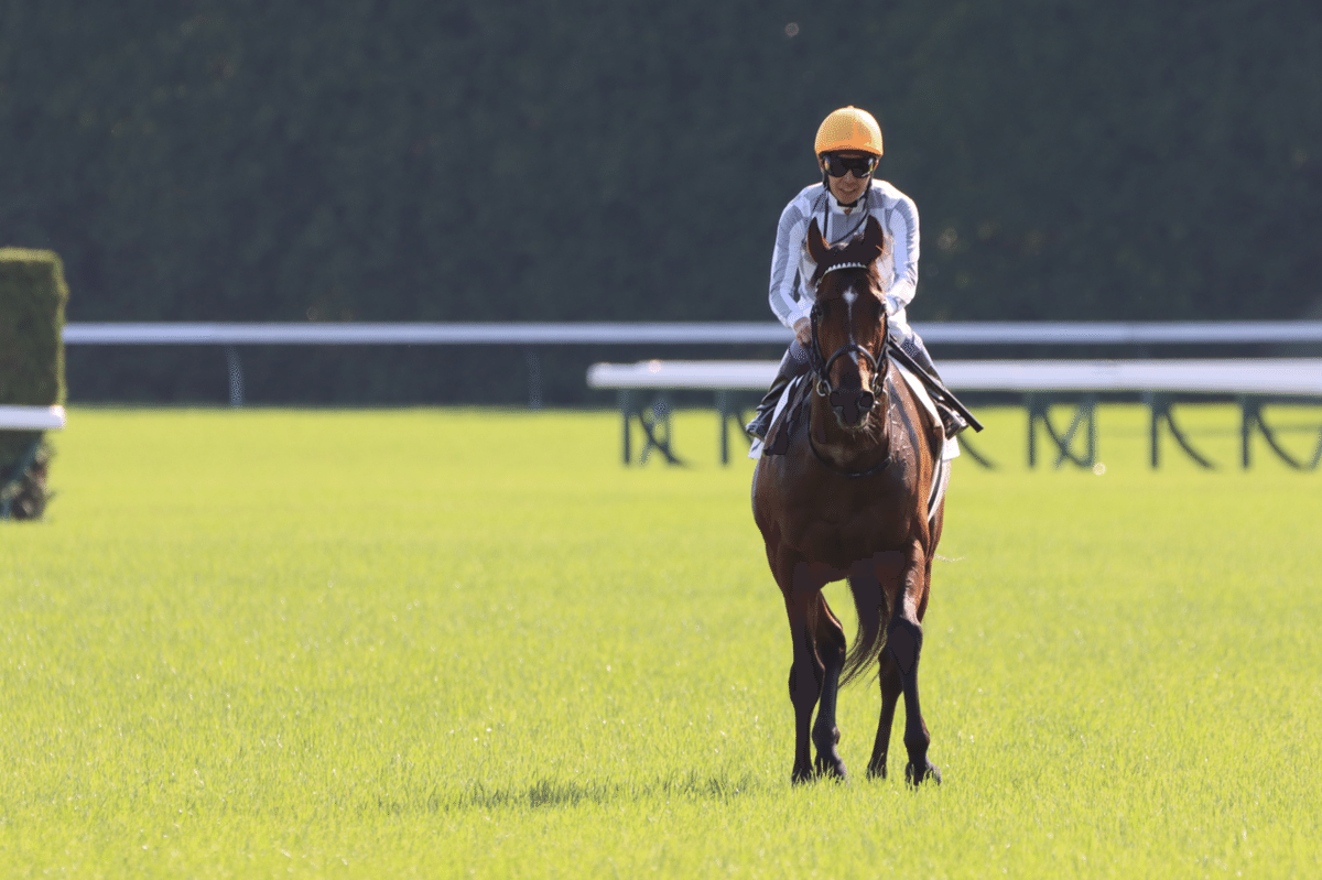 さねちかの『競馬場レポート』vol.3 日本ダービー|ひでまさねちか さねちかの『競馬場レポート』vol.3 日本ダービー|ひでまさねちか