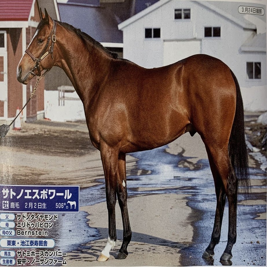 藤原サトノダイヤモンド 新馬戦〜天皇賞・春２歳から４歳国内全１０戦現地単勝 サトノダイヤモンド 新馬戦〜天皇賞・春 2歳から4歳国内全