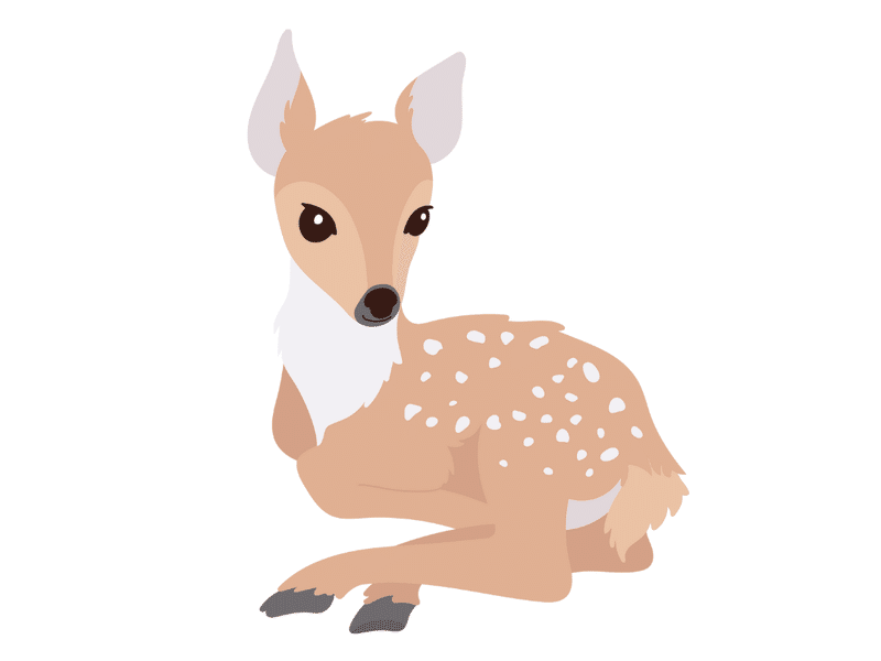バンビ