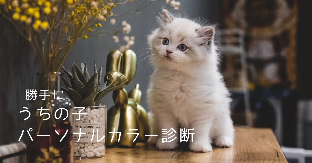Unsolicited Personal Color Analysis for My Pet: Cat Edition ③ 