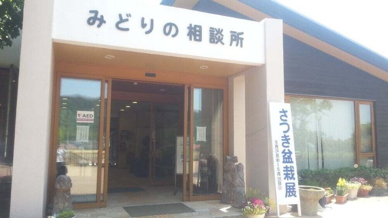画像49