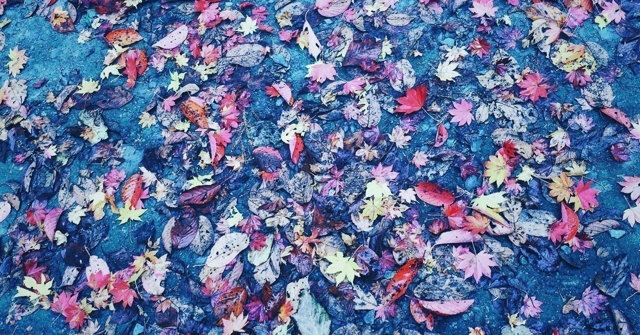 マジに籍と子供にキョーミないから結婚しないだけ 小野美由紀 Note