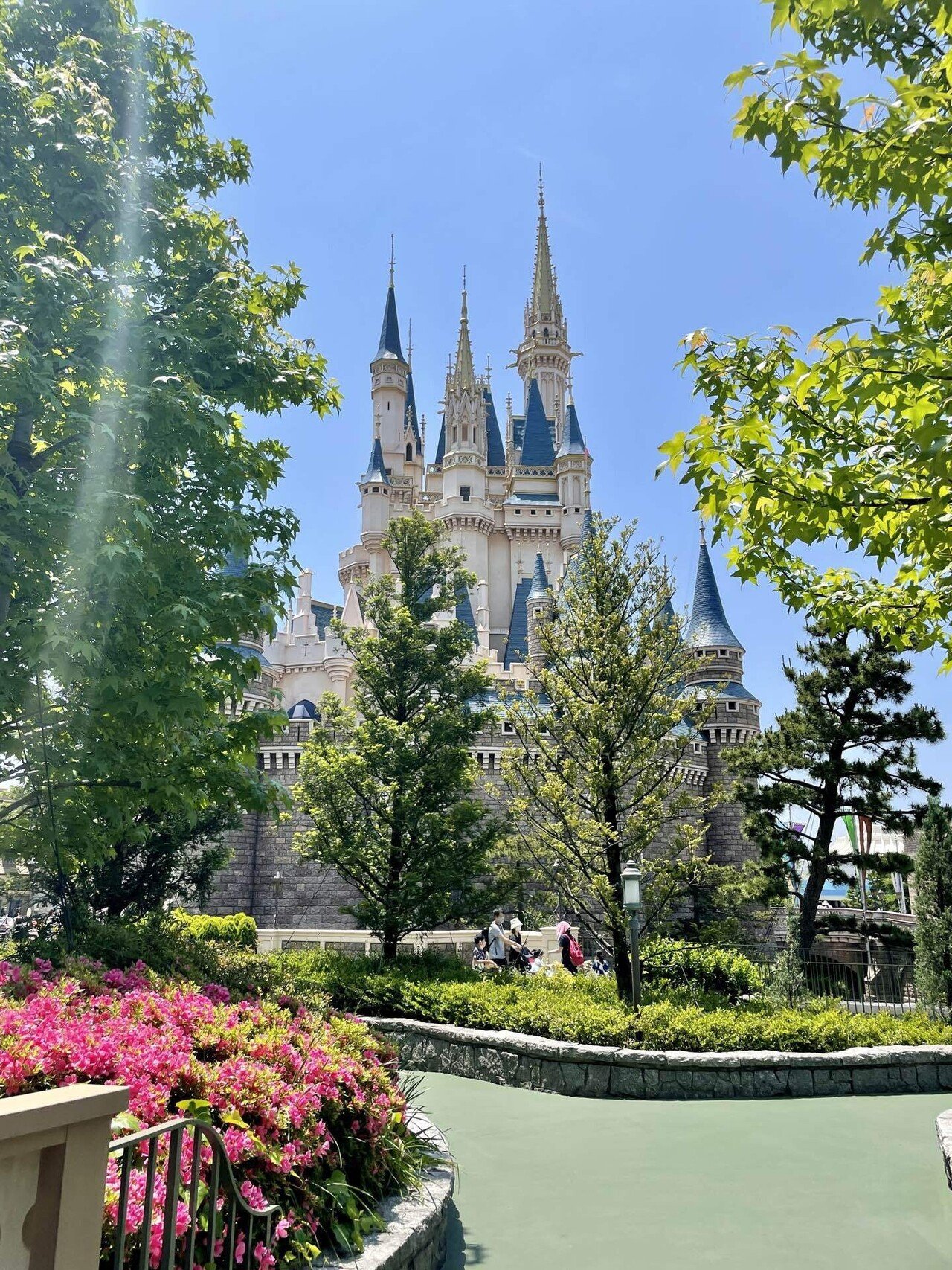 東京の休日 #129 〜【ディズニーランド】大人のための優雅なプランをご