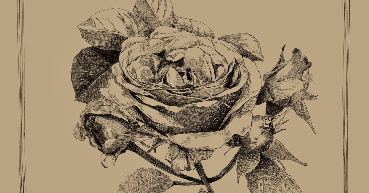【良品】ペン画　植物 良品】ペン画植物