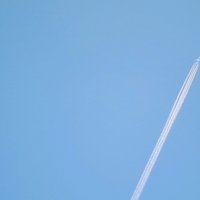 くるり の名曲 ばらの花 に学ぶ不安を安心へつなげる方法 アイアイ 反面教師の父と俳人ぶって暮らしたら 心理学とホントの大人学を身につけた Note くるり の名曲 ばらの花 に学ぶ不安を安心へつなげる方法 アイアイ 反面教師の父と俳人ぶって暮らしたら 心理学とホントの大人学を身につけた Note