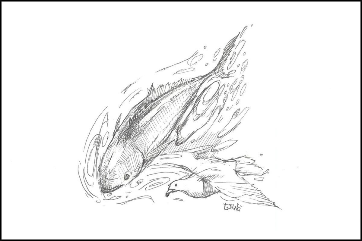 99 布施月子 海のhappy 表紙イラスト集 魚住 陽向 Note 99 布施月子 海のhappy 表紙イラスト集 魚住 陽向 Note