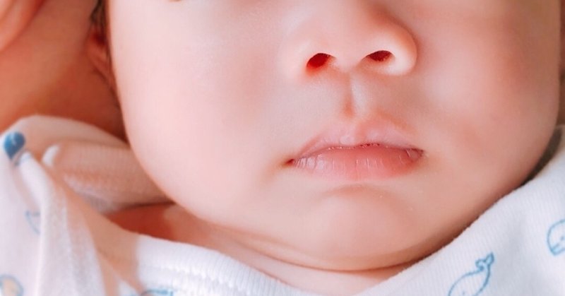 わたしにしがみつく 美しい生き物 しゃもじさん Note わたしにしがみつく 美しい生き物 しゃもじさん Note