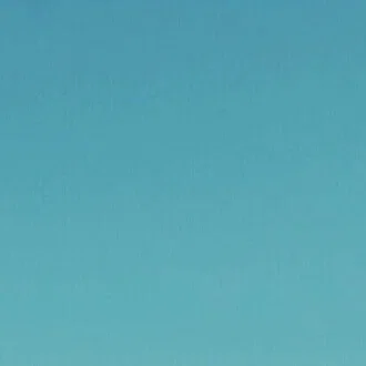 bleu_trois_poisson