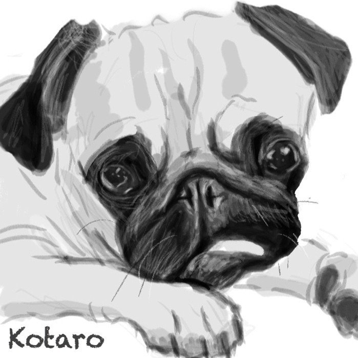 パグイラスト ワンコ ケンスケ コバヤシ パグ ピース Note パグイラスト ワンコ ケンスケ コバヤシ パグ ピース Note