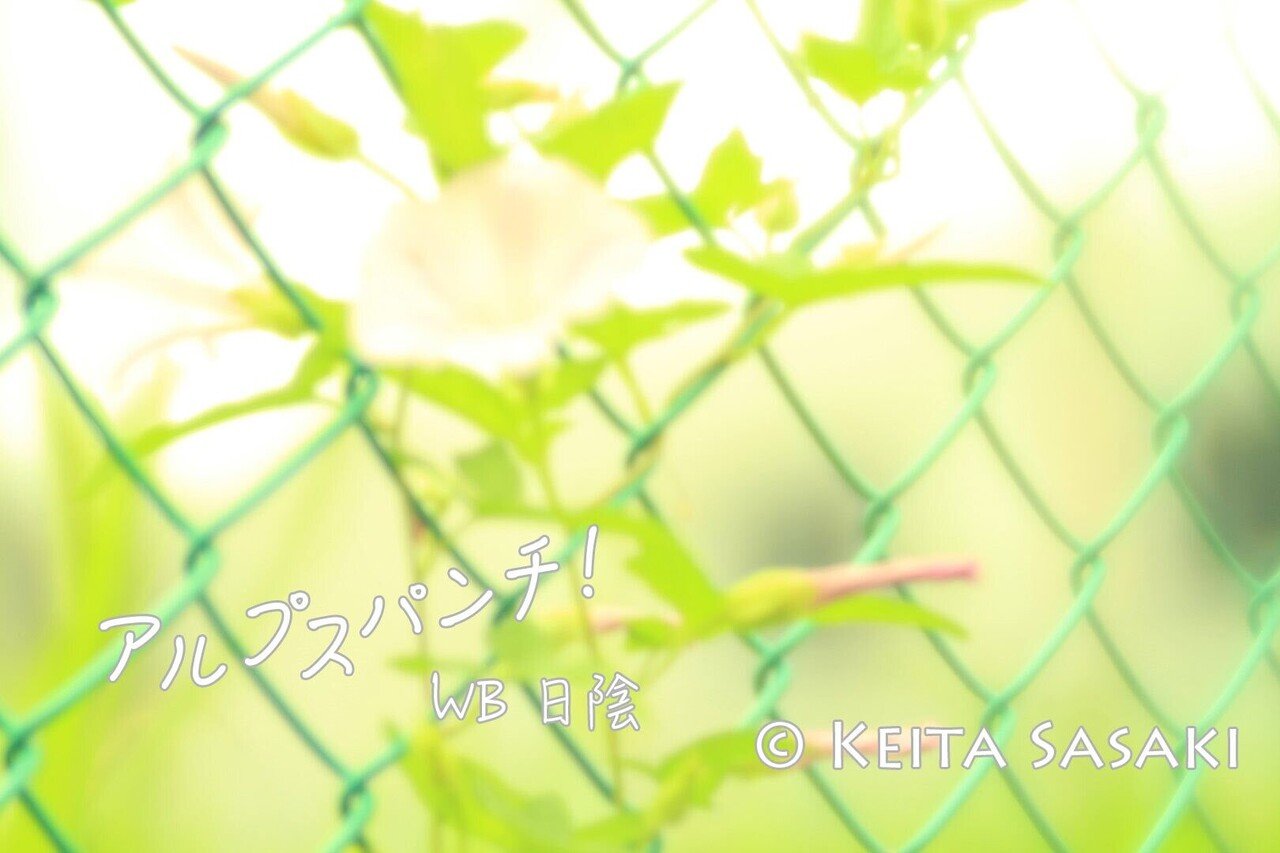 アルプスパンチ なついろパンチ を勝手に解説 佐々木啓太 Note アルプスパンチ なついろパンチ を勝手に解説 佐々木啓太 Note