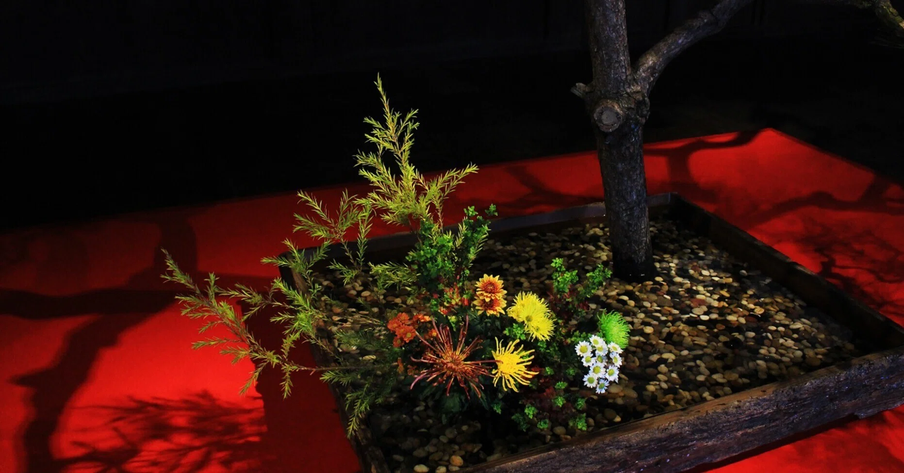日本人にとって花は人生の師匠のような存在 花の道しるべ From 京都 ほんのひととき Note 日本人にとって花は人生の師匠のような存在 花の道しるべ From 京都 ほんのひととき Note