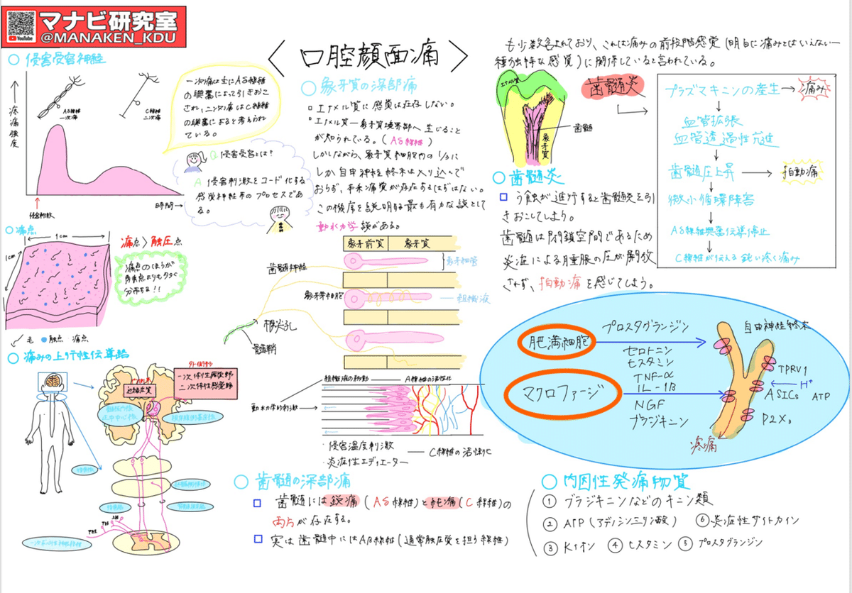 歯科医師のための口腔顎顔面痛 脳と心と痛みの科学 [