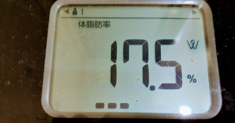 体脂肪率減への挑戦251日目。7つの法則を実践開始60日。なかなか下がらない。