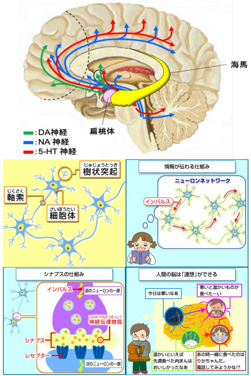 画像11