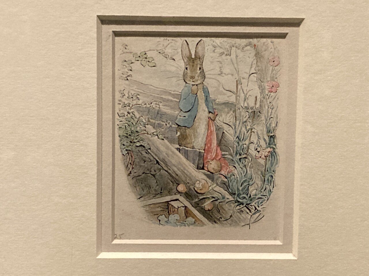 ピーターラビット・ファン必見!V&A美術館のビアトリクス ピーターラビット・ファン必見!V&A美術館のビアトリクス