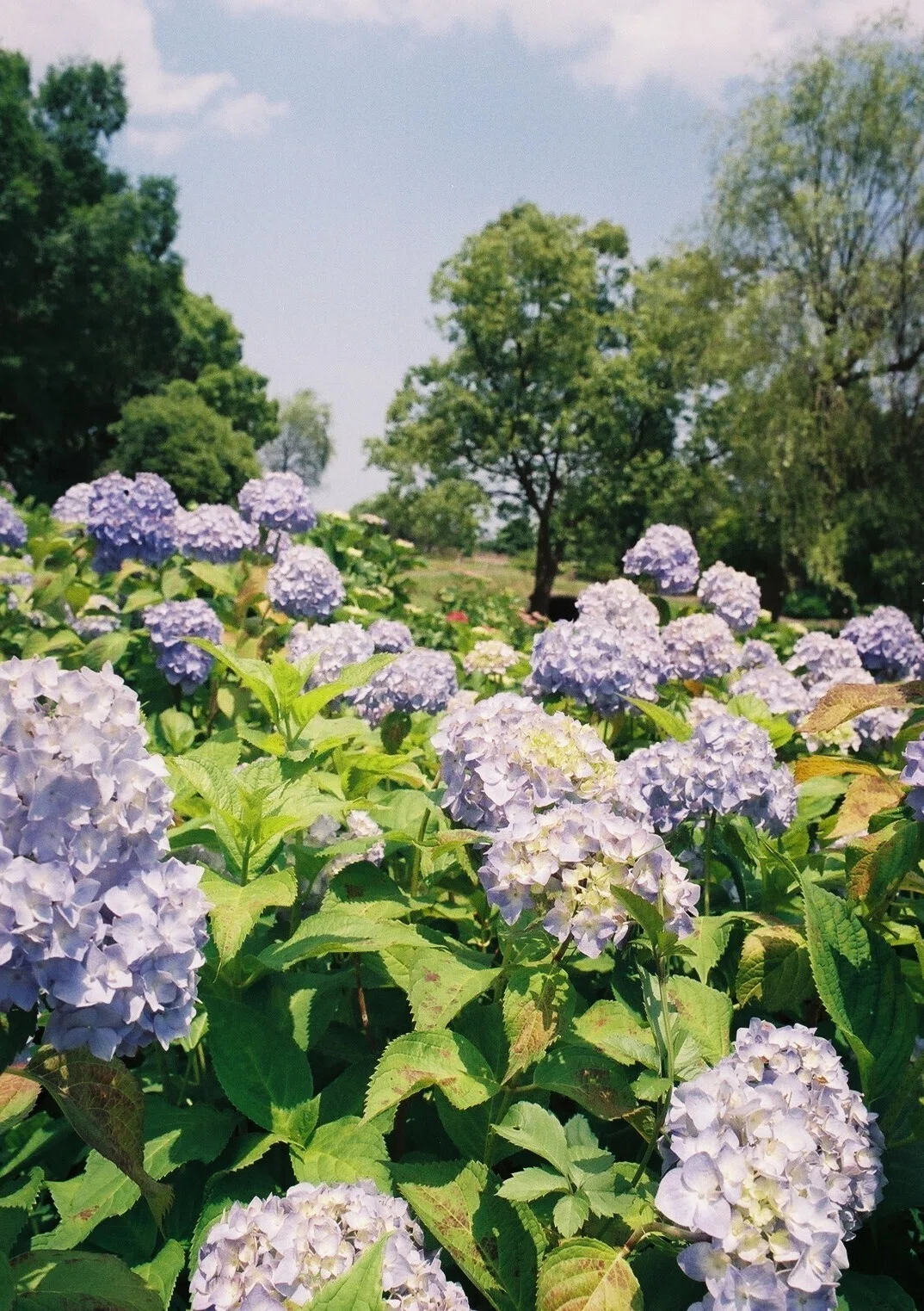 OLYMPUS OM-1の撮影見本｜ごん色カメラ